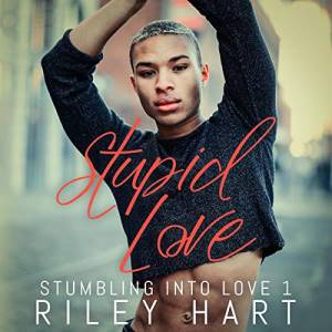 Stupid Love: MM Romance books