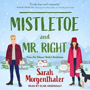 The Best Christmas Romance books: Mistletoe and Mr. Right