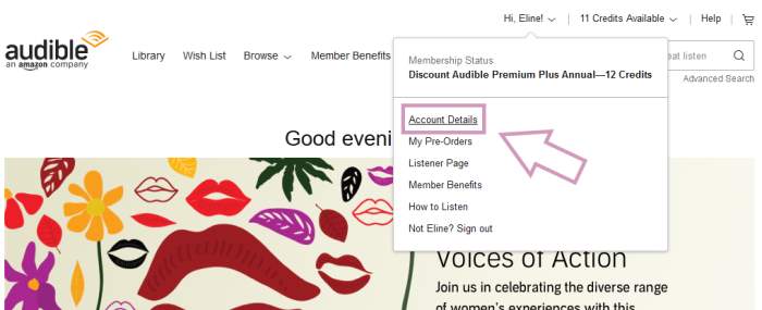 How to cancel Audible in browser: Click on account details