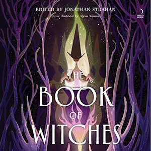 The Book of Witches audiobook cover shows a drawing of a witch with a big black hat in front of a cauldron