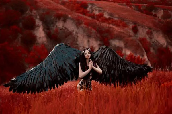 A red tinged landscape with a female looking person in the center with black hair and huge black wings