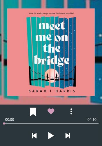 The book cover of Meet Me on the Bridge 